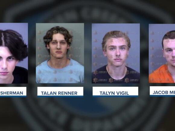 Court documents reveal new insight into Gilbert Goons investigation ...