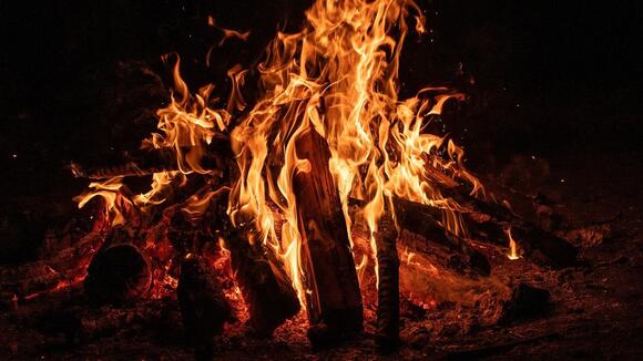 The Evolutionary Leap: How Early Humans Mastered Fire and Shaped ...