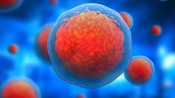Scientists Found a Way to Upgrade the Powerhouses of Our Cells Without ...