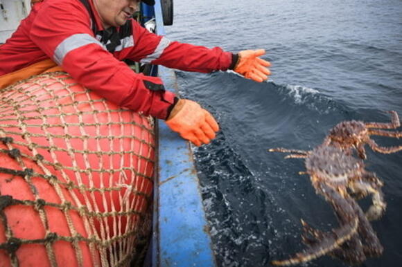 ‘Deadliest Catch’: How Does the Crew Count the Crab Behind the Scenes ...