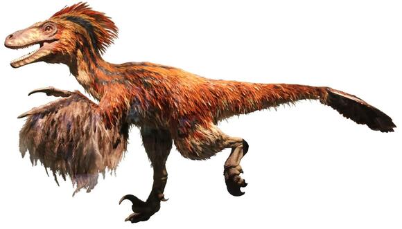 Unearthing the Giants: North America’s Most Imposing Prehistoric ...