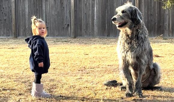 Jason Kelce and wife Kylie mourn death of beloved family dog ...