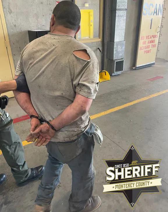 Approximately 80 animals shot in Prunedale early Tuesday morning