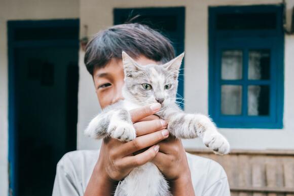 What Your Cat Really Means When They ‘Help’ You With Chores - NewsBreak