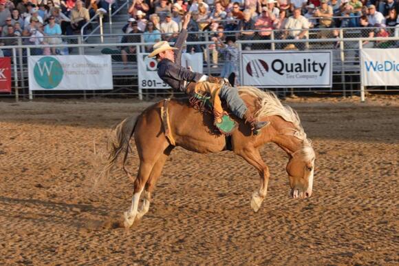 13 U.S. Towns That Still Host Rodeos Weekly - NewsBreak