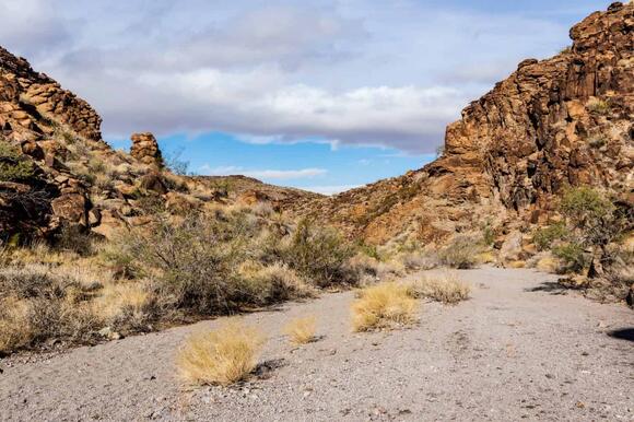 The Largest House in Nevada Is a Mind-Bogglingly 34,203 Square Feet ...