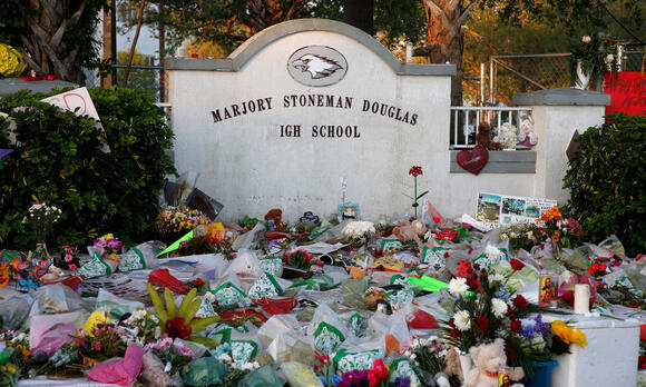 School Safety Measure Moves in Florida House on Anniversary of Parkland