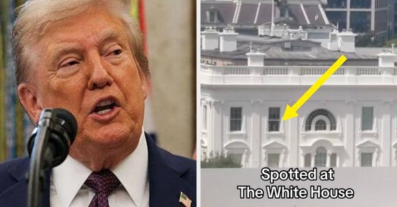 Uhhh, So Trump Addressed That Wild Video Of People Throwing Stuff Out ...