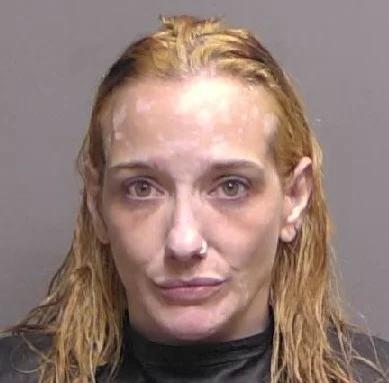 Woman Attempts to Smuggle Drugs into Flagler County Jail After Traffic ...