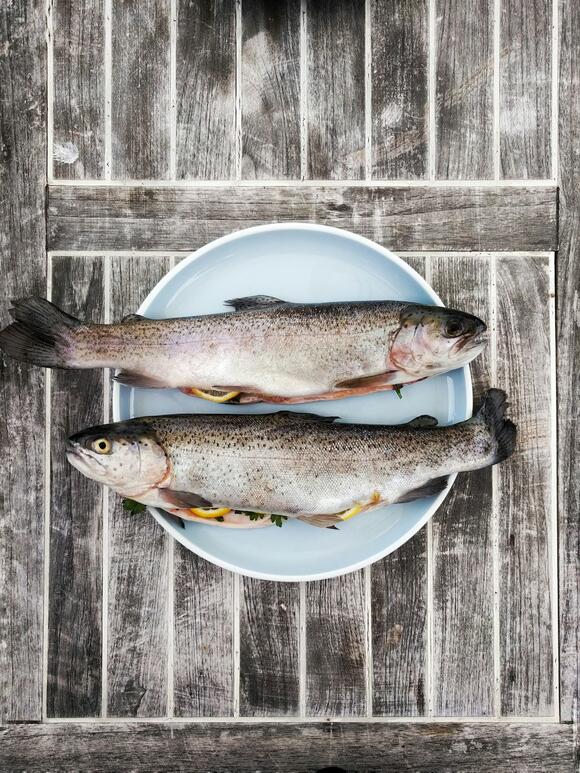 Legendary Seremoni Fish to Revolutionize Restaurant Seafood with ...
