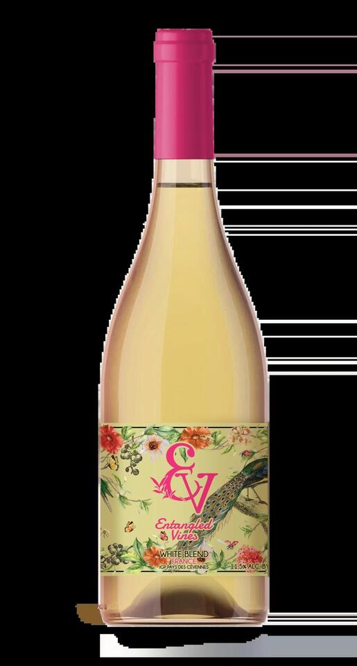 Jamaican Educator And Entrepreneur Dr. Karren Dunkley Launches New Wine ...