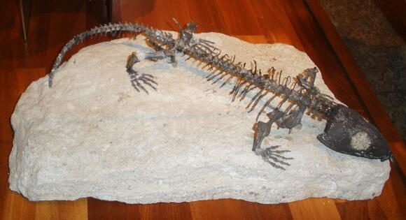 289-Million-Year-Old Reptile Mummy Unveils Origins of Rib-Powered ...