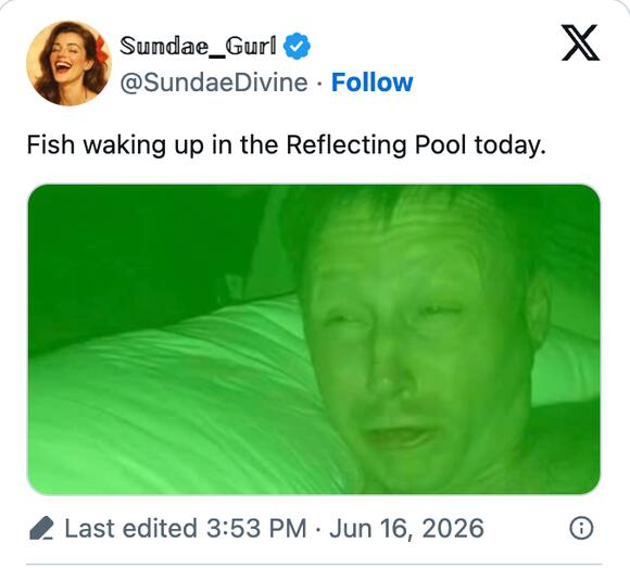 13 BRUTAL Reflecting Pool Jokes And Memes That Trump Is Bound To Hate ...