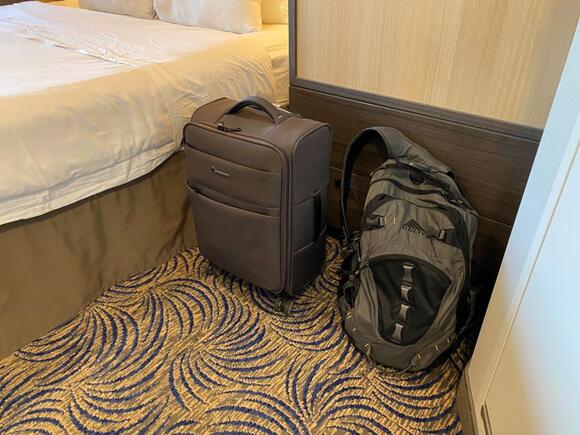 How Much Luggage Can You Take On A Cruise? Ultimate Guide