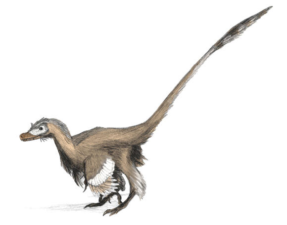 How Fast Could Velociraptors Really Run? - NewsBreak