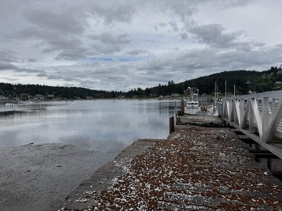 Notice a crane above the Gig Harbor waterfront this week? Here's what ...