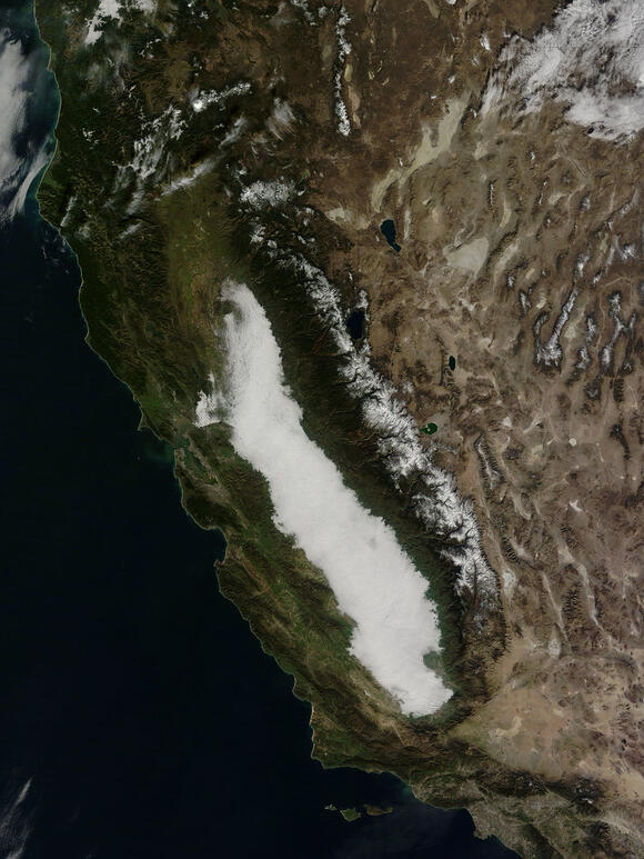 Tsunami greenland
