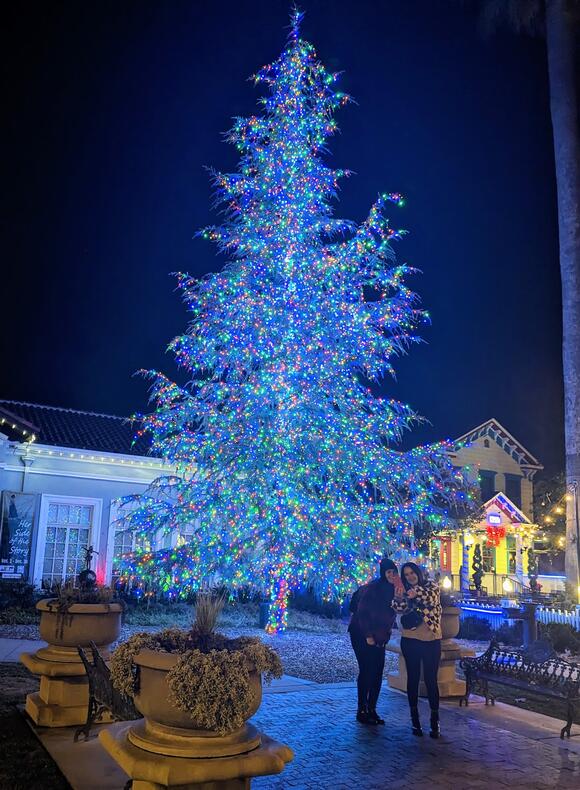 Holiday 2026 in San Ramon and Pleasanton: Tree Lightings, Santa Visits ...