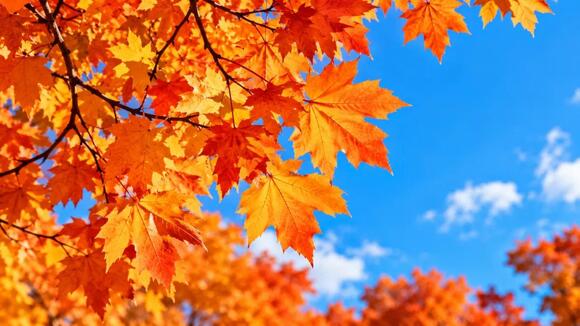 Upstate New York Fall Foliage Update: There's Still Time to See Colors ...