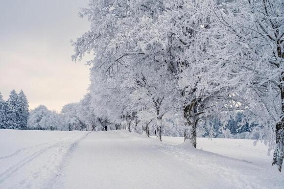 Why Snow Squeaks Under Your Boots Only on the Coldest Days - NewsBreak