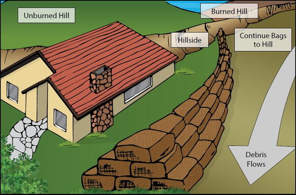How to prepare your home for El Niño’s extreme weather - NewsBreak