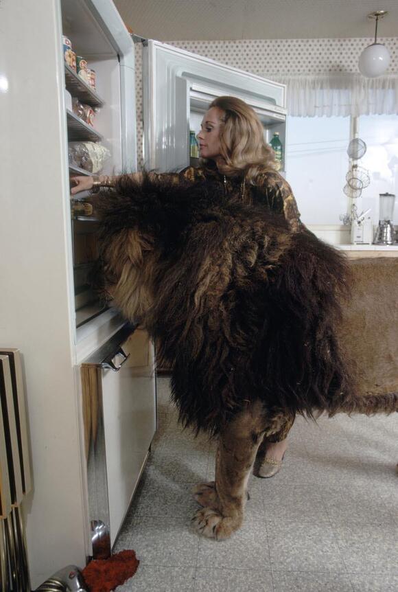 The Wild Story Of How Tippi Hedren And Her Family Lived With A 400 ...