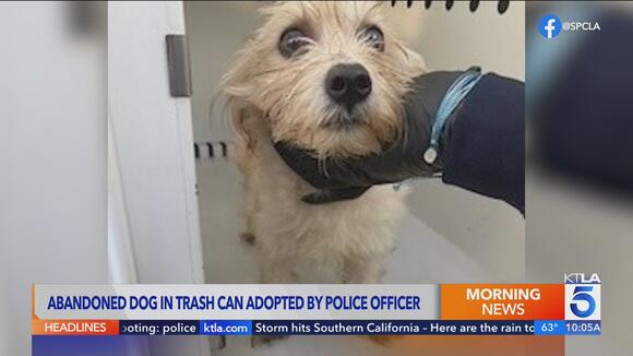 Officer rescues puppy from compacting trash can, then adopts him ...