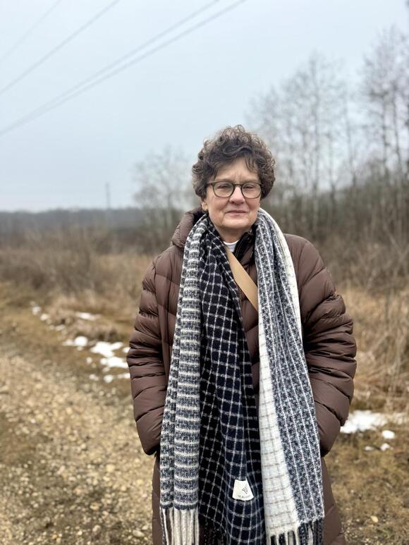 Big Bend citizens voice worries over proposed high-voltage power ...