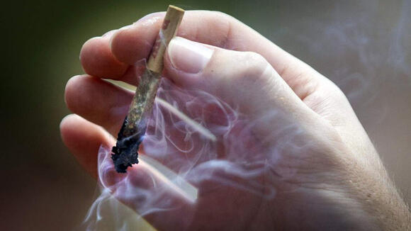 Candidates in key Wake elections divided over marijuana and hemp ...