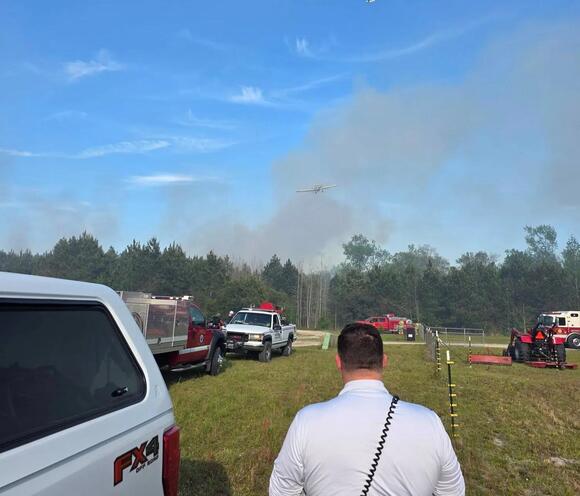 UPDATE: Forest fire contained in Brunswick County - NewsBreak