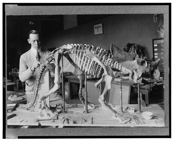 Early Fossil Labs: Where Dinosaur Bones Were Studied Before Microscopes ...