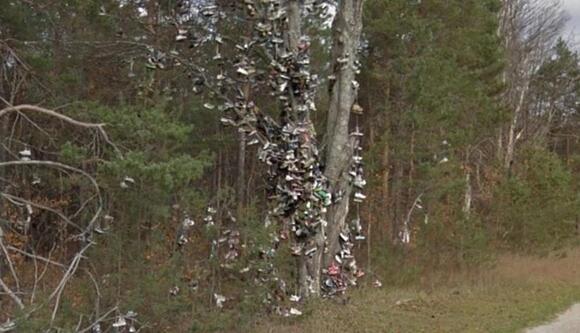 Lakenenland Park Closed After Vandalism in Michigan U.P. - NewsBreak