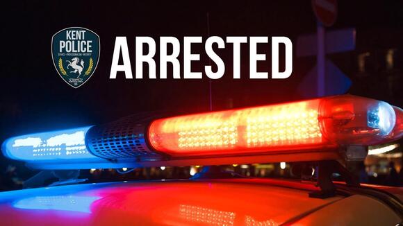 UPDATE: Suspect arrested in Kent East Hill double shooting homicide ...