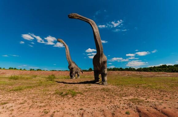 Brachiosaurus vs Brontosaurus: 5 Key Differences Explained - NewsBreak