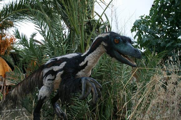 How Fast Could Velociraptors Really Run? - NewsBreak