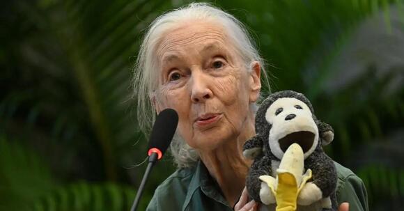 Dr. Jane Goodall's Family: Everything to Know After Her Death at 91 ...