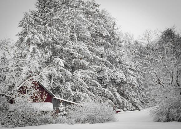 The Date You Can Expect to See First Snowfall in 4 Maine Cities - NewsBreak