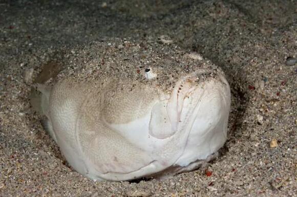 6 spooky sights from nature to give you chills this Halloween - NewsBreak