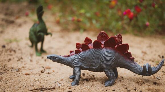 The Hunt Is On: Could Allosaurus Really Take Down a Stegosaurus ...