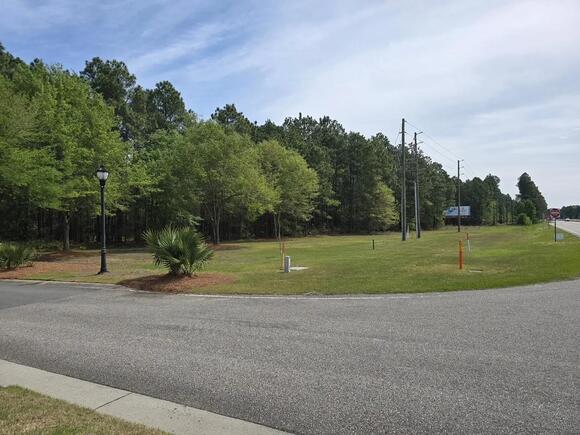 Brunswick residents sue town over 'unlawful' development project ...