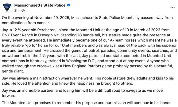 Beloved Police Horse Jay Dies at 12 After Brief But Impactful Career ...