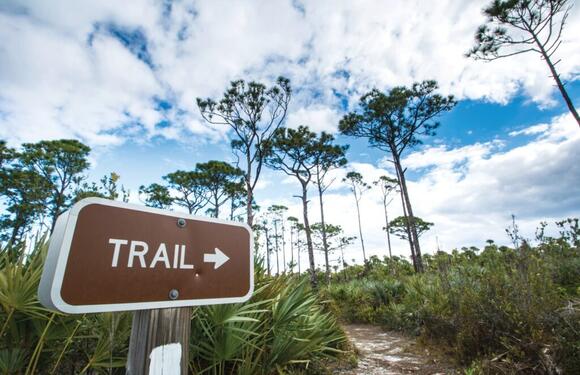 Wellen Park unveils plans for three new parks and two nature trails ...