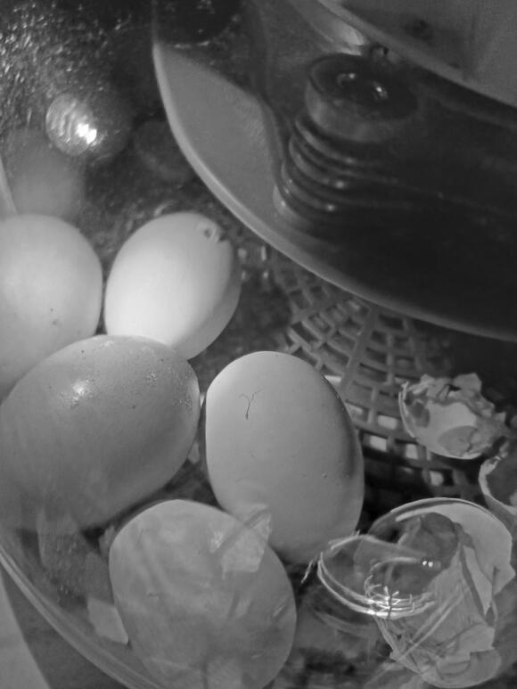 Ingleside RV Park Roadside Attraction