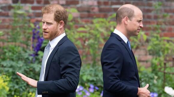 Prince Harry Urged To ‘Have It Out’ With Prince William for Good -- Report