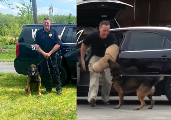 Ventnor Police Say Goodbye to Beloved K-9 Axel - NewsBreak