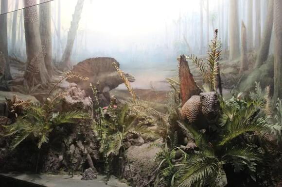 12 Amazing Facts About the Dimetrodon: Not a Dinosaur, But a ...