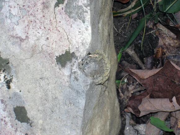 7 Facts About Montreal’s Secret Ice Age Cave Created During The Last ...