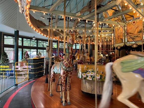7 Amazing Carousel Facts You Almost Certainly Didn’t Know - NewsBreak