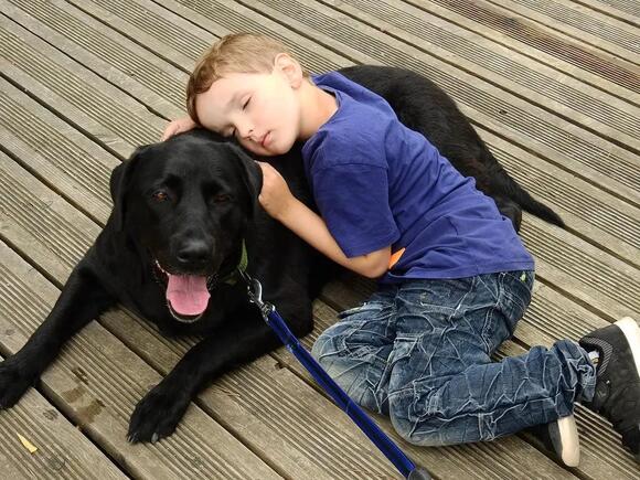 12 Dog Breeds That Are Natural Born Cuddlers (Get Ready for Snuggles ...