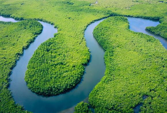 Rivers are releasing a massive amount of carbon dioxide into the air ...